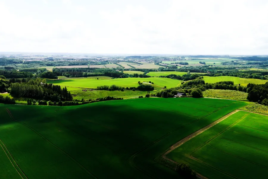 Cinematisk dronefoto af det bakkede danske landskab med frodige grønne marker og skovområder, optaget som led i en professionel videoproduktion. Dette luftbillede demonstrerer brugen af dronevideo og visuel storytelling til at skabe stærke billeder og overblik i brandingfilm og erhvervsvideoer for kunder.