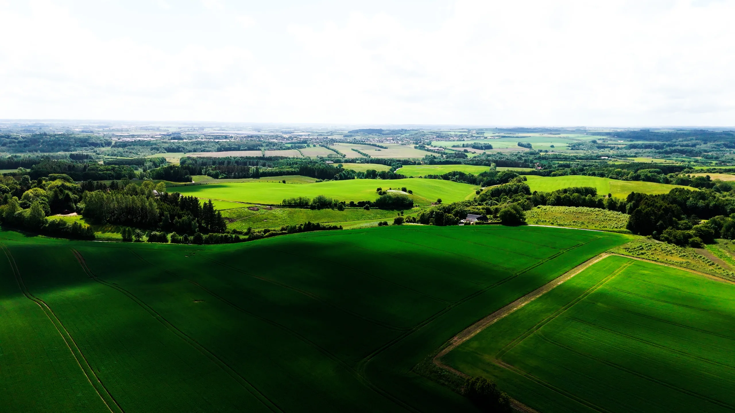 Cinematisk dronefoto af det bakkede danske landskab med frodige grønne marker og skovområder, optaget som led i en professionel videoproduktion. Dette luftbillede demonstrerer brugen af dronevideo og visuel storytelling til at skabe stærke billeder og overblik i brandingfilm og erhvervsvideoer for kunder.